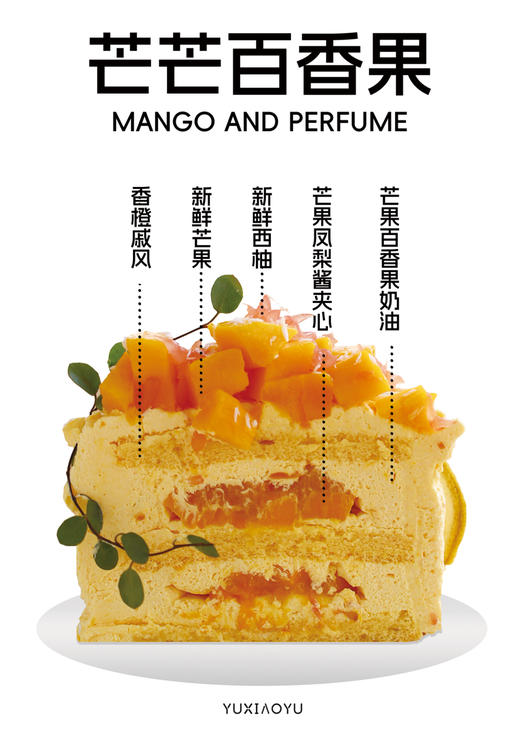 芒芒百香果 商品图0