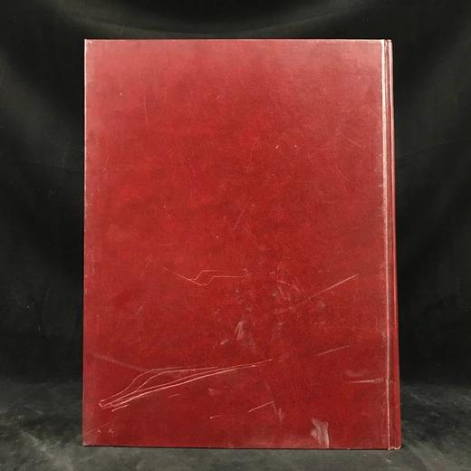 世界鸟类家族 数百幅插图 精装大16开 商品图2