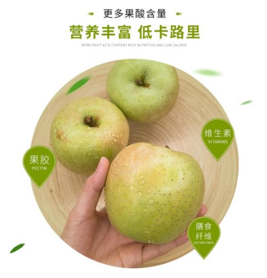 🔥【山东王林苹果（雀斑美人）】🍂1.清甜多汁，果味清香，👏果肉细腻，容易储存🍂 2.拥有兰花香气的正宗王林苹果被😍列为世界十大好吃苹果之一🍂 商品图0