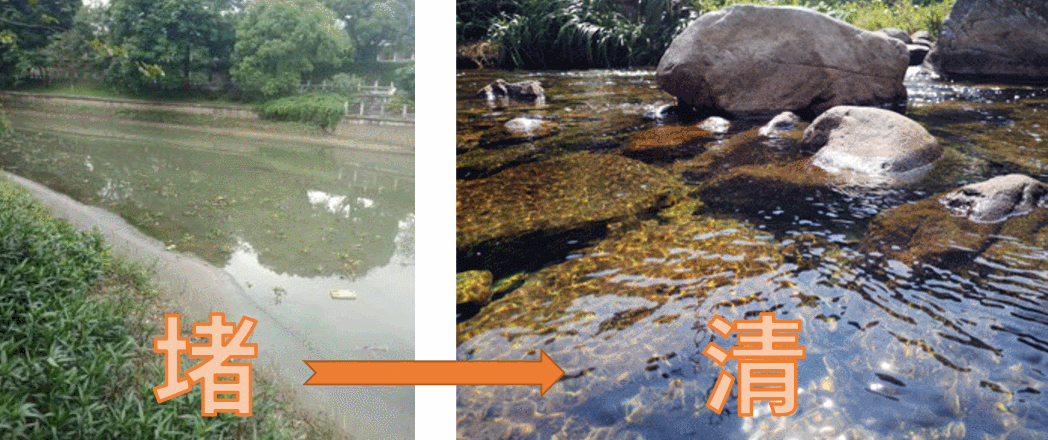 最养女人的运动，胜过任何大补药，不是跑步，而是...