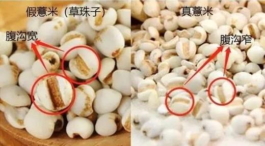 优选|贵阳炒薏米   无油干炒   酥酥脆脆   越嚼越香    60g*3罐 商品图4