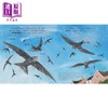 【中商原版】超级雨燕 Super Swifts The Small Bird With Amazing Powers英文原版 儿童科普绘本自然科学图画书 精装精品绘本 商品缩略图2