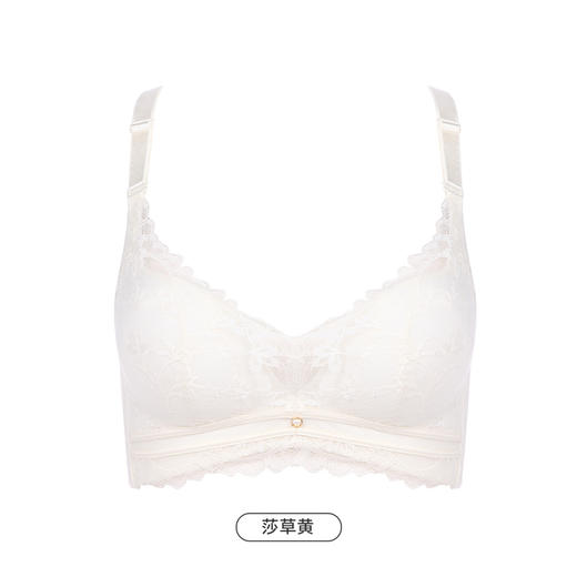 都市丽人聚拢升杯五星导流杯内衣女蕾丝文胸B杯适穿3/4杯中厚无磁内衣树脂胶圈三排扣YB4AA2 商品图11