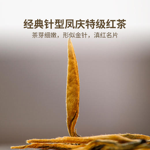 滇红金针单泡礼盒装  红茶，100克 商品图2