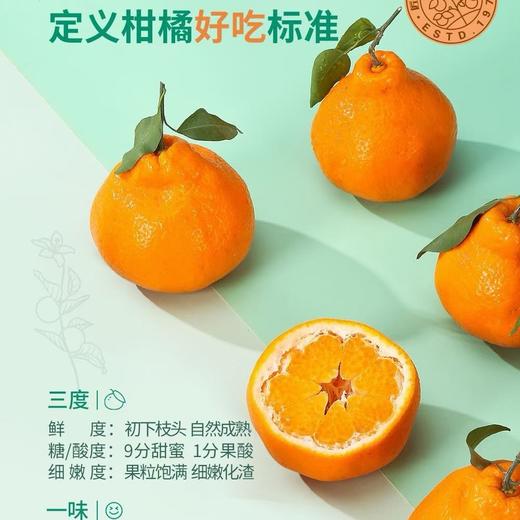 柑橘皇后～精笃大雅柑【净重约7斤】 商品图9