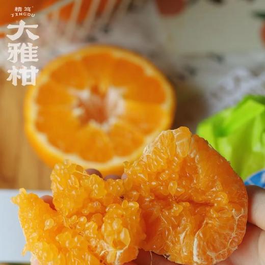 柑橘皇后～精笃大雅柑【净重约7斤】 商品图13