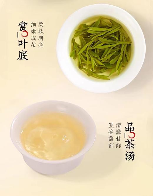 明前龙井茶2024新茶特级绿茶250g 商品图6