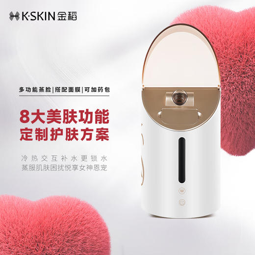 金稻美容仪器多功能家用蒸脸仪器面部蒸脸器冷喷热喷温喷补水喷雾仪纳米喷雾蒸汽美容仪 KD2312 商品图0