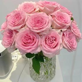 30枝 公主玫瑰 | 新客福利