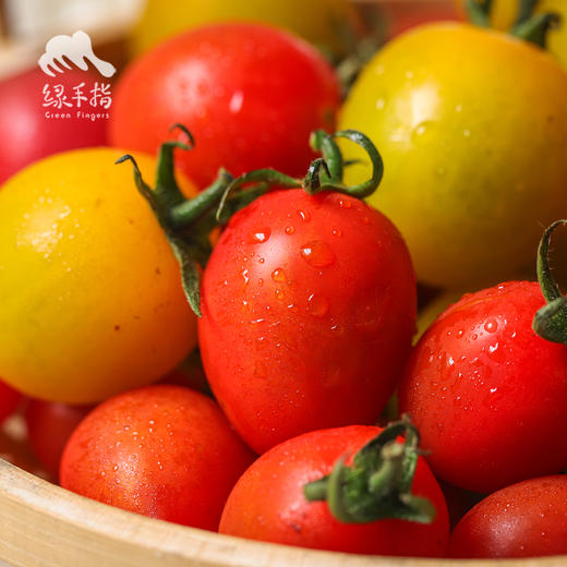 生态圣女果（广州） | 合作生产*Ecological cherry tomato | Coprodution 商品图0
