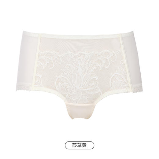 都市丽人舒软挺塑轻塑塑身内裤女蕾丝+双拉塑身无塑身平角内裤LP49B3 商品图13