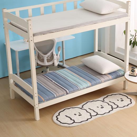 利路米超值款高弹大学生宿舍保暖床垫90*195CM 商品图3