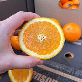 【美国高糖橙】美国产区甜橙，肉质细嫩，口感甜，层次好，榨汁或者切块都有完美口感！