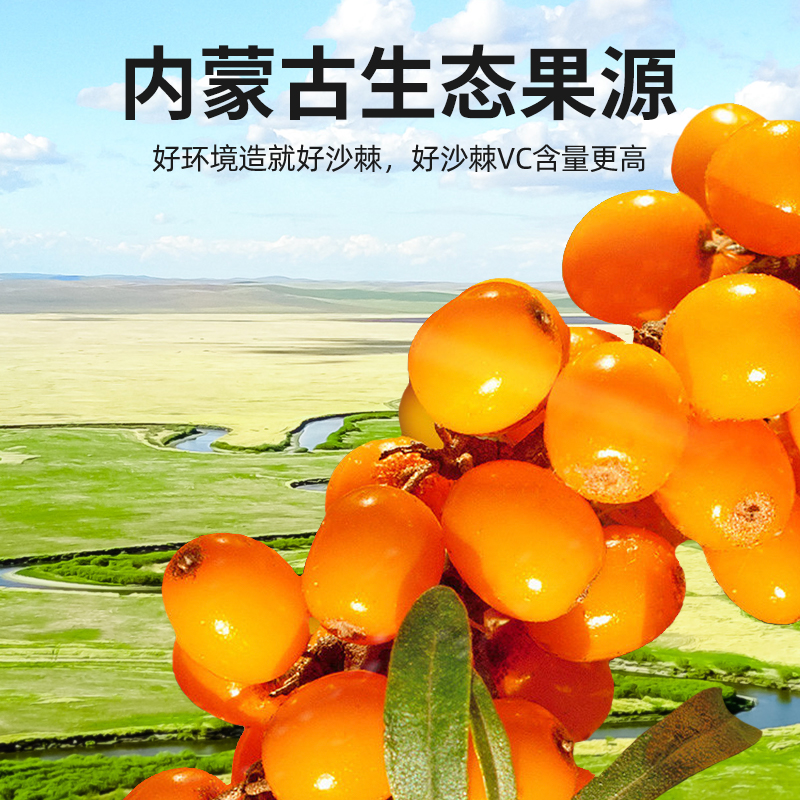 【冬季滋补】纯耕1.8L（60袋）量贩装沙棘原浆；赠试喝装；不添加糖类香精色素，鲜活营养小果沙棘，维C；黑枸杞沙棘原浆组合，青海原产黑枸杞原浆，富含花青素