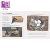 【中商原版】超级雨燕 Super Swifts The Small Bird With Amazing Powers英文原版 儿童科普绘本自然科学图画书 精装精品绘本 商品缩略图3