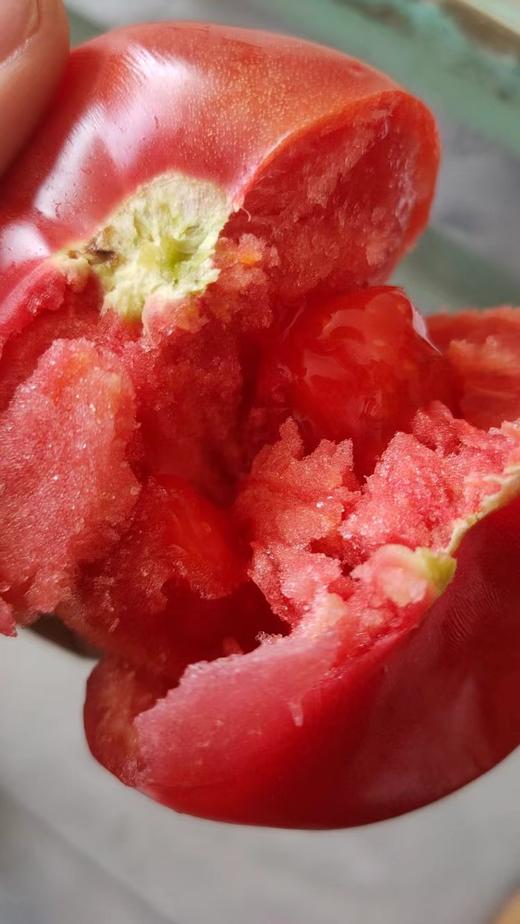 京东/顺丰包邮【普罗旺斯西红柿】回归发货生态种植还原小时候的柿子味道基地直邮 商品图0