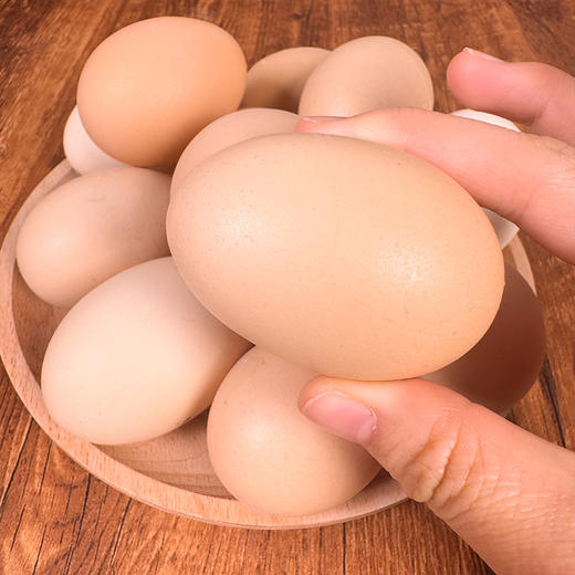 奔牛沈小亚纯散养草鸡蛋45枚 商品图2