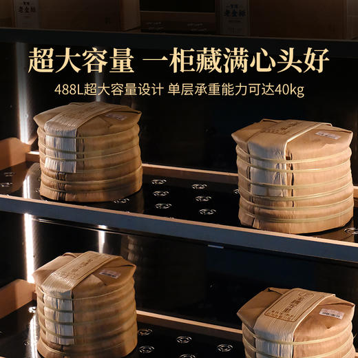 2024年双陈养普柜488L大容量现代化智能调控节能锁温智能生态养普柜藏茶 商品图2