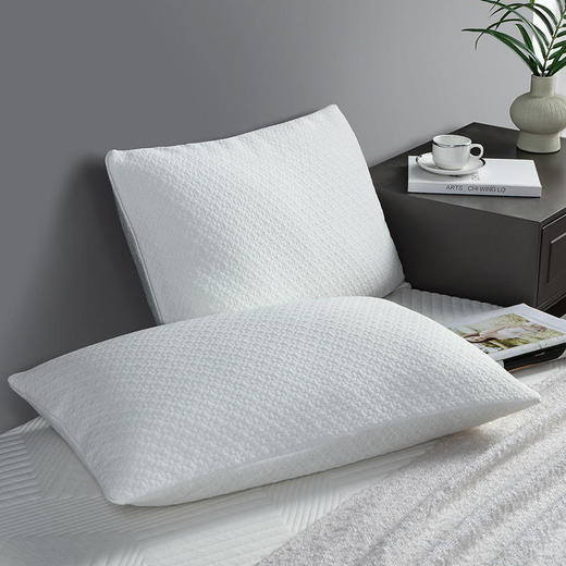 泰普尔 舒适枕L 83210002 商品图6