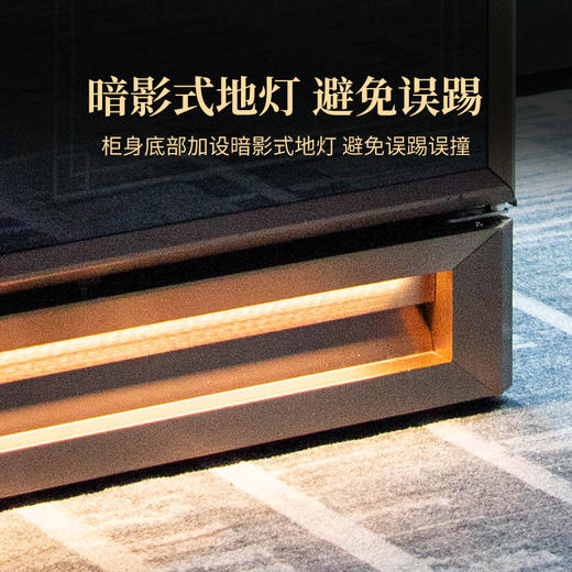 2024年双陈养普柜488L大容量现代化智能调控节能锁温智能生态养普柜藏茶 商品图4