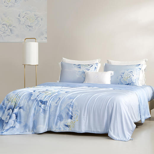 梦洁  天丝玻尿酸水洗纯桑蚕丝夏被：倾城 商品图2