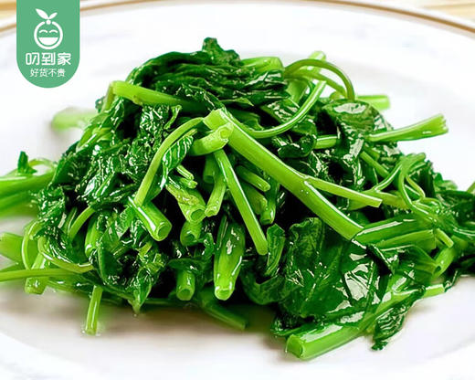 【叼鲜蔬】漳州新鲜青杆空心菜/1份（约300g） 商品图2