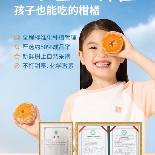 柑橘皇后～精笃大雅柑【净重约7斤】 商品图14