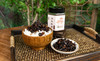 致山野云南特色风味油鸡枞菌280g 商品缩略图7