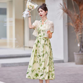 WZ880219印花刺绣设计高级感两件套裙女2024年夏季上新气质时尚新中式风