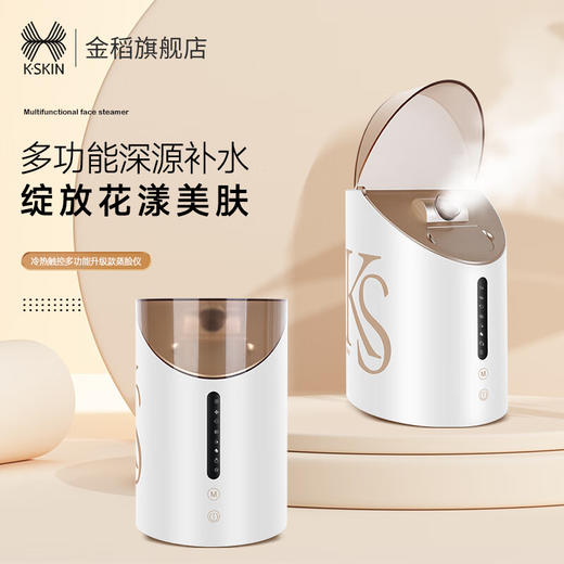 金稻美容仪器多功能家用蒸脸仪器面部蒸脸器冷喷热喷温喷补水喷雾仪纳米喷雾蒸汽美容仪 KD2312 商品图1