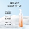 溪木源山茶花舒缓氨基酸洁面泡沫 商品缩略图3