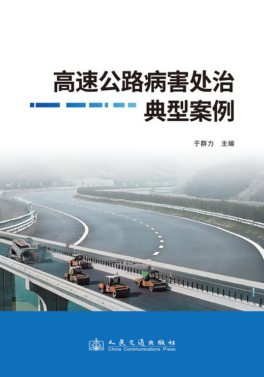 高速公路病害处治典型案例 商品图3