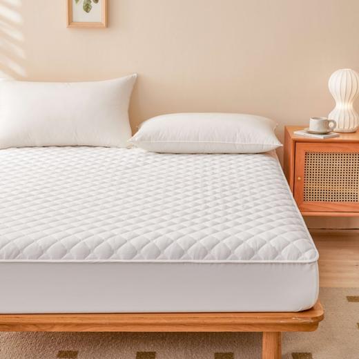 利路米秋冬季全棉加厚床笠式床护垫 商品图0