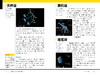 《国家地理终极观星指南》 商品缩略图12