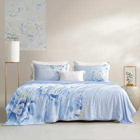 梦洁  天丝玻尿酸水洗纯桑蚕丝夏被：倾城