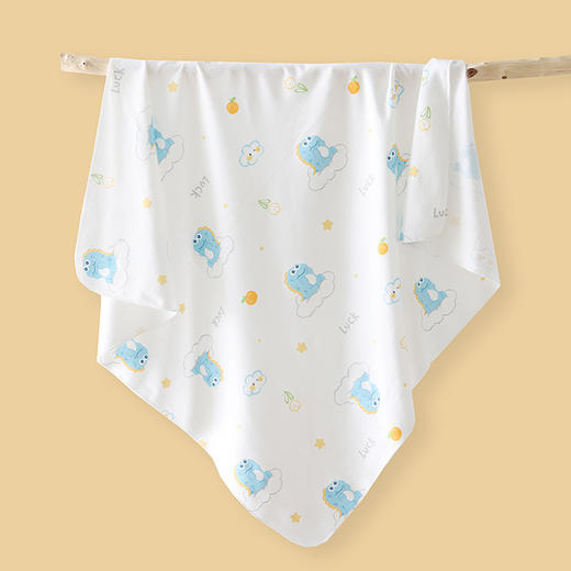 【买一送一！安稳睡眠】包单a类纯棉新生婴儿薄款包巾抱被初生儿产房裹布襁褓巾宝宝包被 商品图10