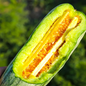 冰糖羊角蜜瓜 |水果