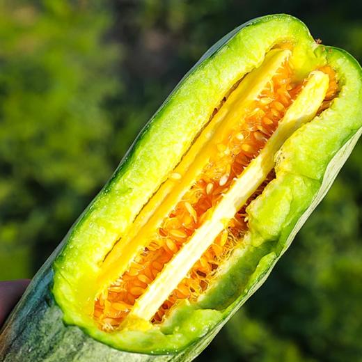 冰糖羊角蜜瓜 |水果 商品图0