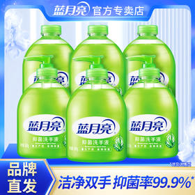 10001018【品牌直发】【消毒我们是专业的】蓝月亮芦荟洗手液500g×3+瓶补500g×3套装公司家庭