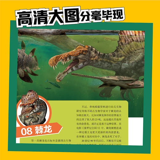 《美国国家地理 恐龙战力榜》| 亲子桌游礼盒（含套装书2册+桌游）/套装书2册 两个规格可选 商品图7