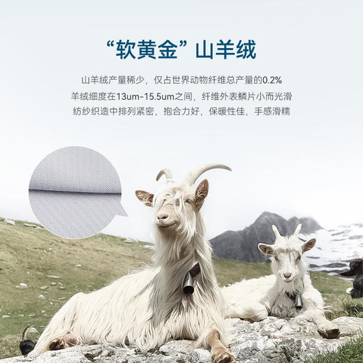 十如仕山羊绒提花高端免烫长袖衬衫-701-01 商品图5