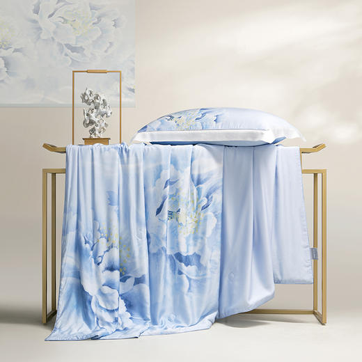 梦洁  天丝玻尿酸水洗纯桑蚕丝夏被：倾城 商品图1