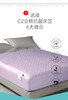 利路米全棉抗菌床笠式床护垫 紫色 白色 灰色三色可选 商品缩略图1