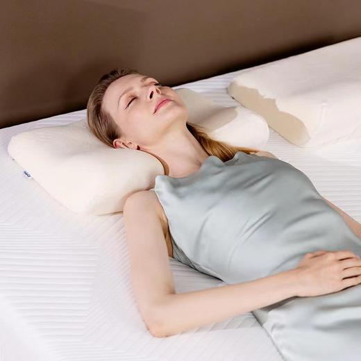 泰普尔 千禧感温枕S 120599 商品图4