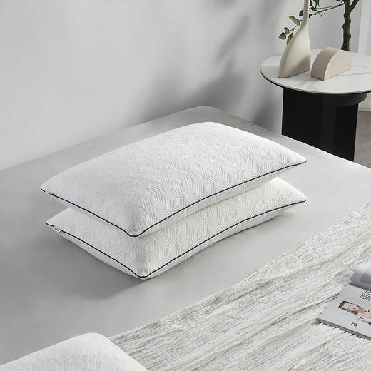 泰普尔 星梦经典枕M 83220002 商品图5