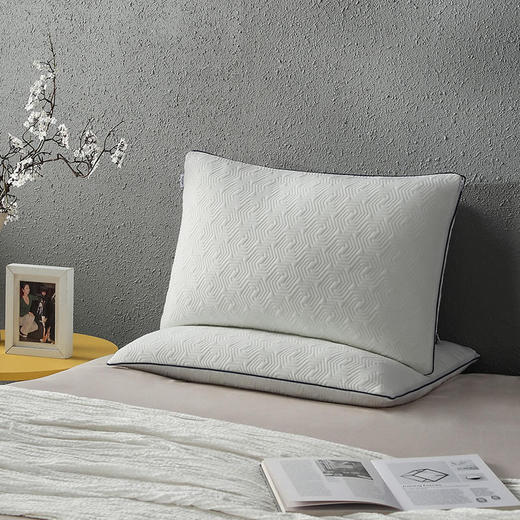 泰普尔 星梦经典枕M 83220002 商品图3