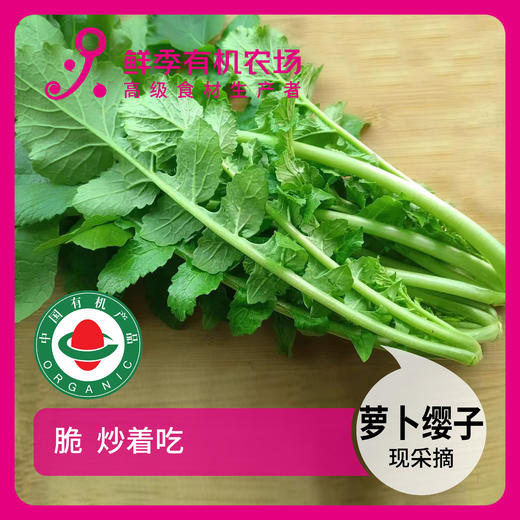 年卡-萝卜樱子300g 商品图0