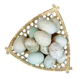 奔牛沈小亚纯散养鸭蛋30枚