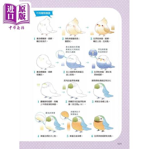【中商原版】色铅笔手绘Q萌小动物：从可爱造型入手学色铅笔百变技法 港台艺术原版 橘子/ORANGE 汉欣出版 商品图3