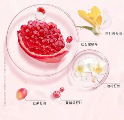 ESTEE LAUDER /雅诗兰黛 红石榴水 滋润型 400ML 商品图2